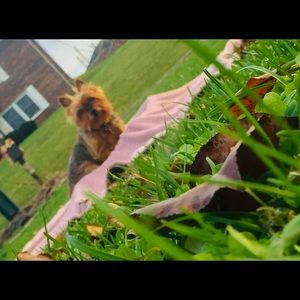 Meet your Posher, Kaylee